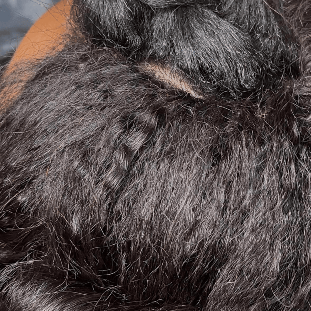 Drop 001: The Invisible Crown (Kinky Straight Invisible U - Part Wig) - coilycuehair